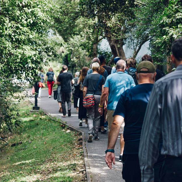 Sustainable Business: A Walk In Grey Lynn | Living - Nature Baby