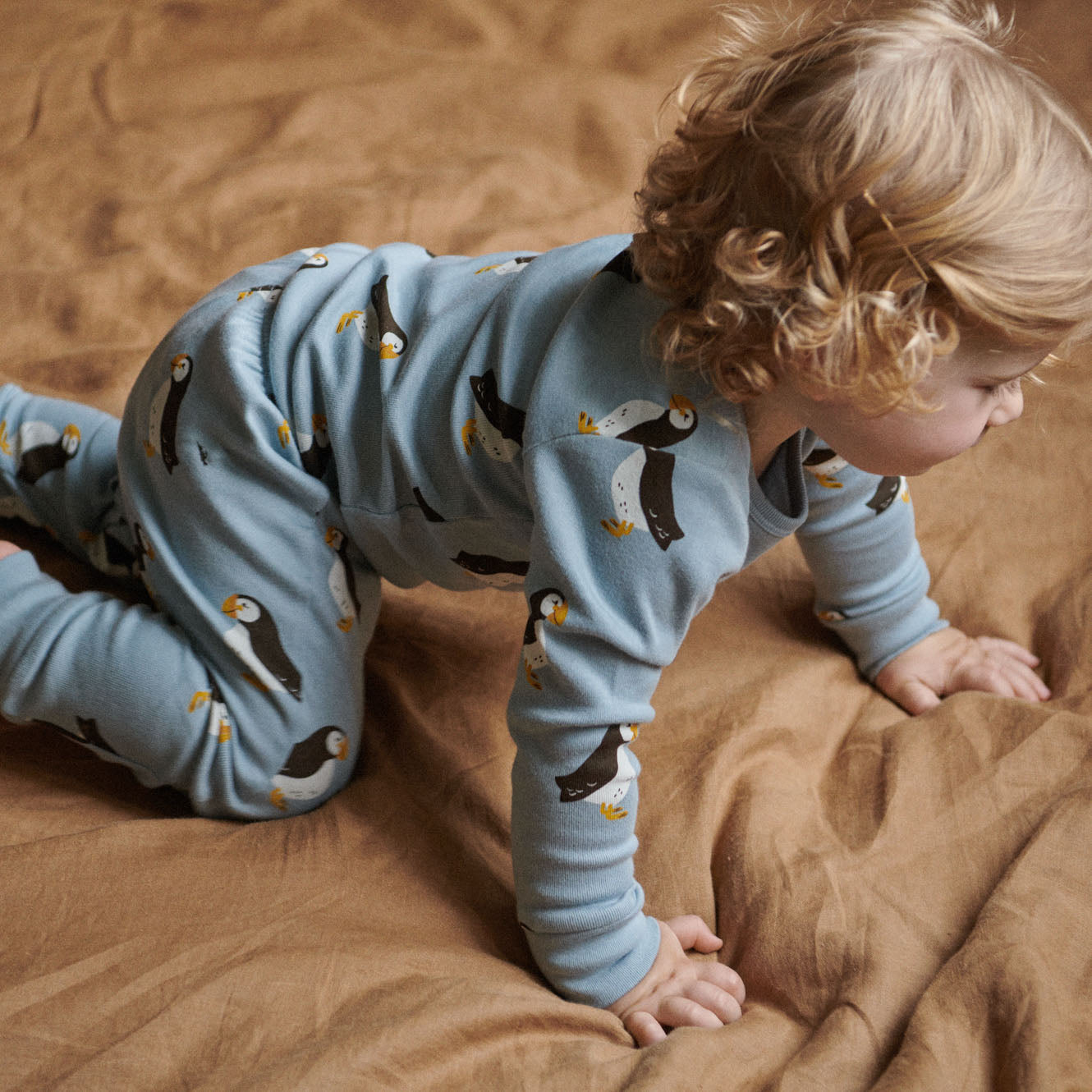 2PC LONG SLEEVE PYJAMAS | Puffin Print-Web-hover