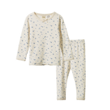 2PC LONG SLEEVE PYJAMA SET POINTELLE | Daisy Print-Web-front