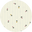 Aster_Floral_Print_AW25_Swatch - Nature Baby
