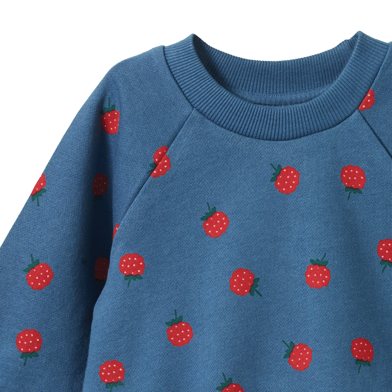 EMERSON SWEATER | Raspberry Blue Print-Extra Img - 2