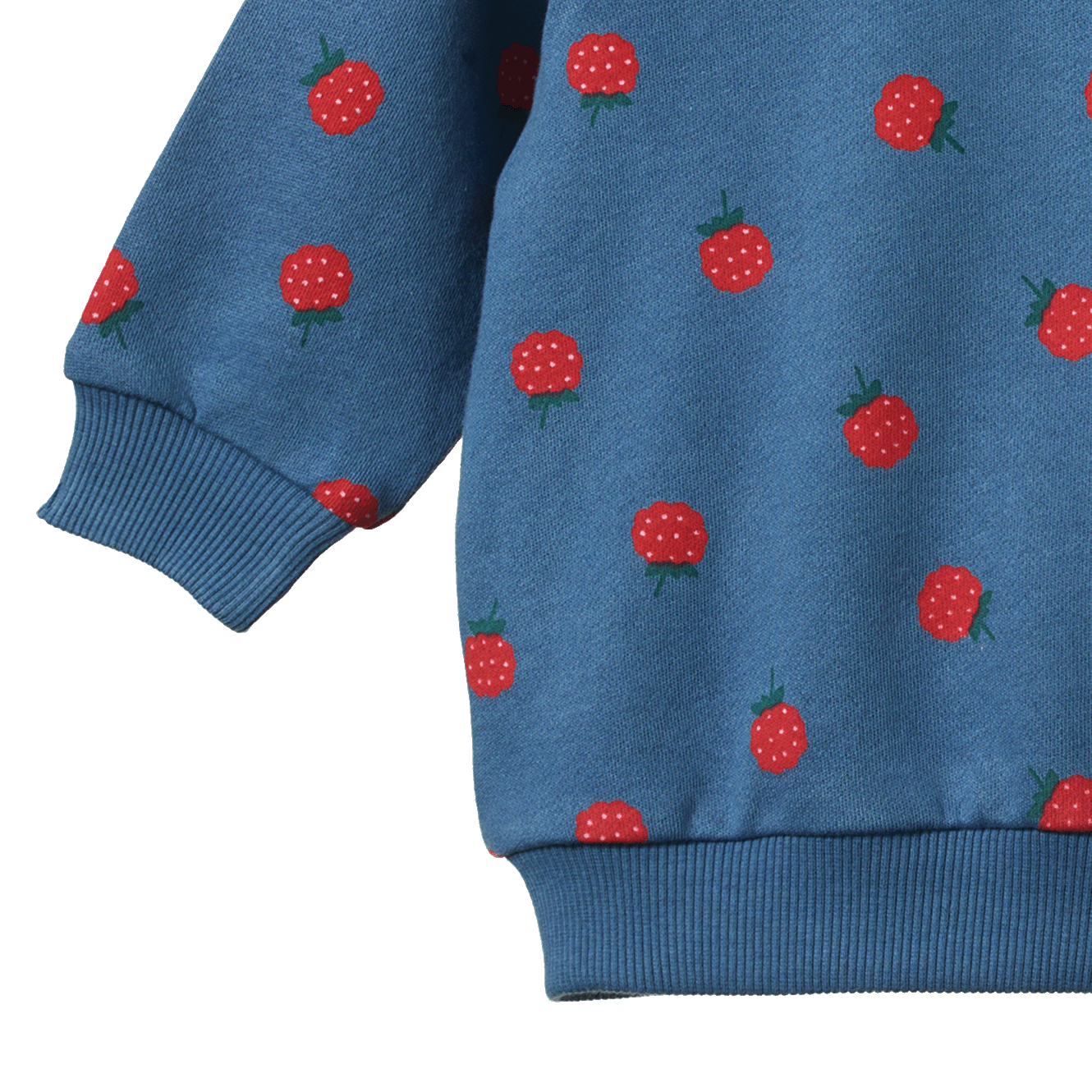 EMERSON SWEATER | Raspberry Blue Print-Extra Img - 3