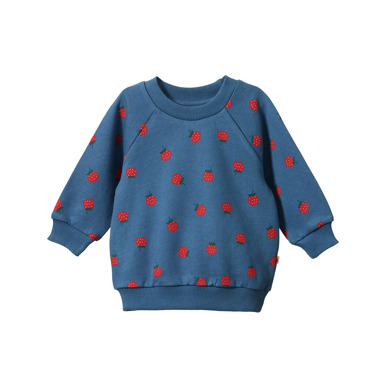 EMERSON SWEATER | Raspberry Blue Print-Web-front