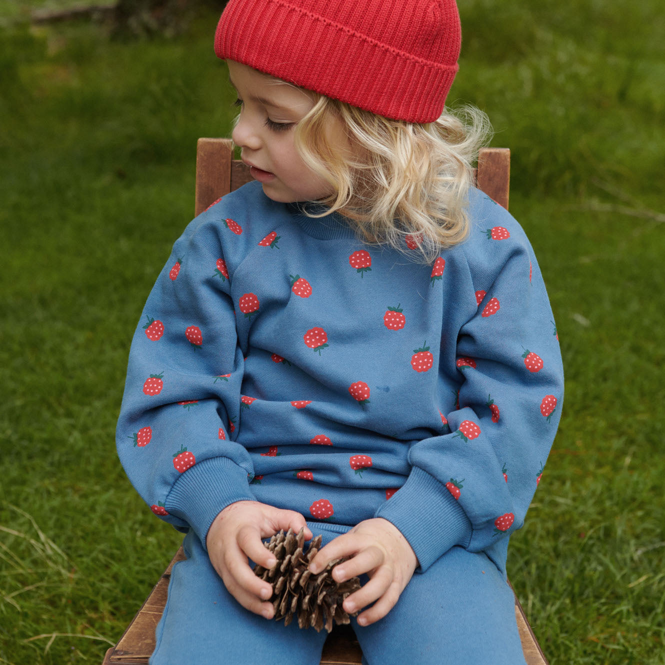EMERSON SWEATER | Raspberry Blue Print-Web-hover