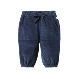 FRANKIE CORD PANTS | Navy-Web-front
