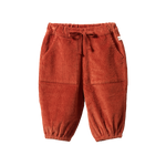 FRANKIE CORD PANTS | Spice-Web-front