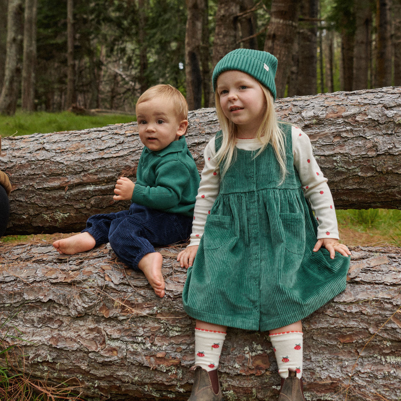 GRANDPA JUMPER | Pine-Web-hover