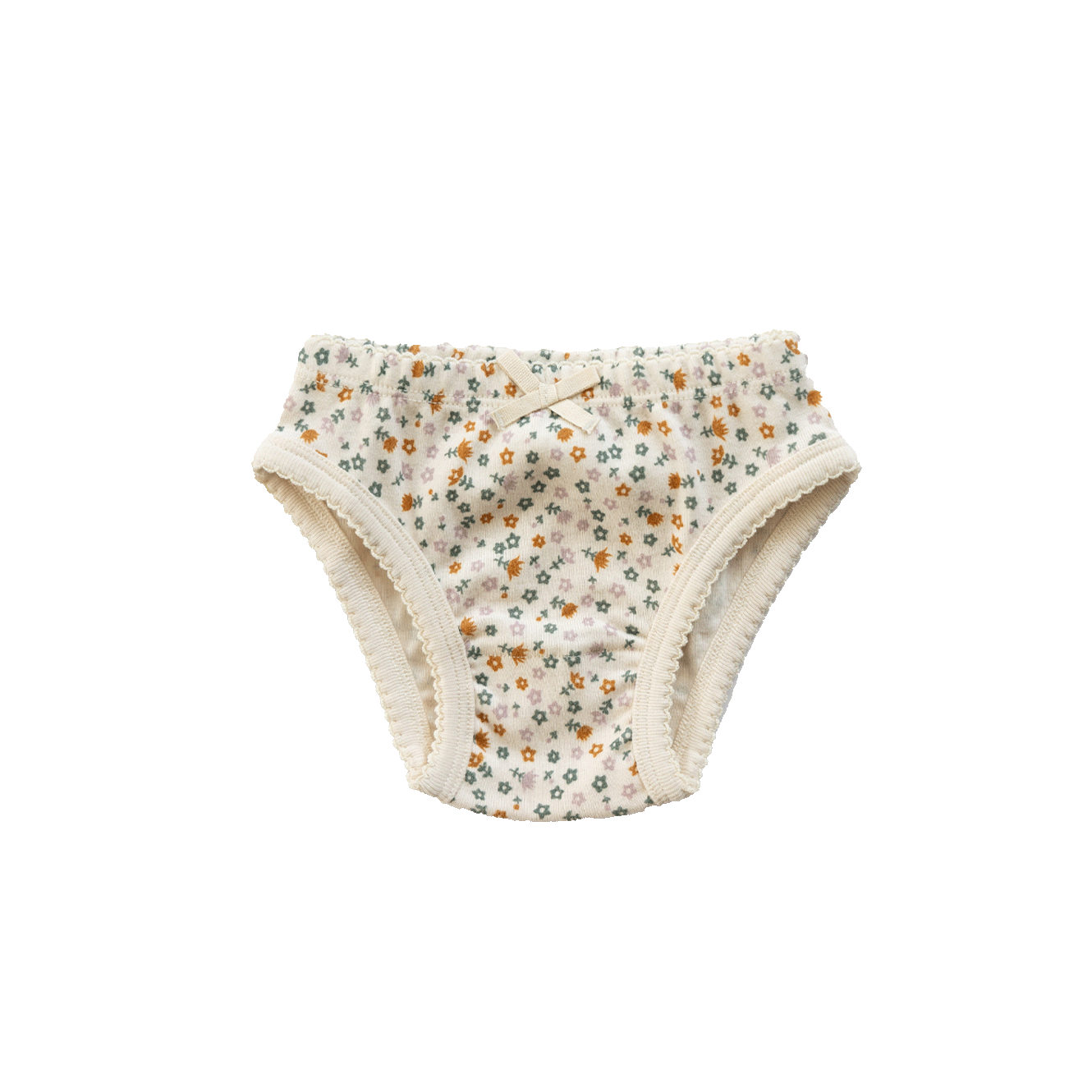 KNICKERS | Pollyanna Print-Web-front