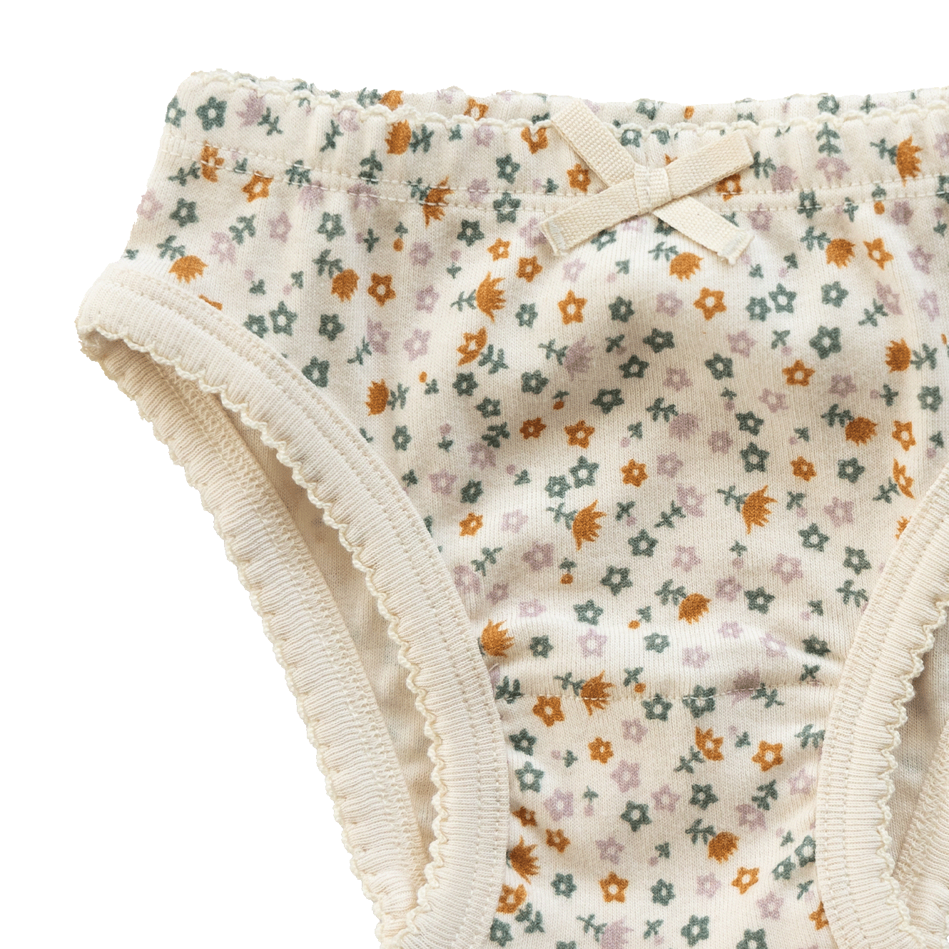 KNICKERS | Pollyanna Print-Web-hover