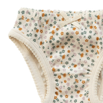 KNICKERS | Pollyanna Print-Web-hover