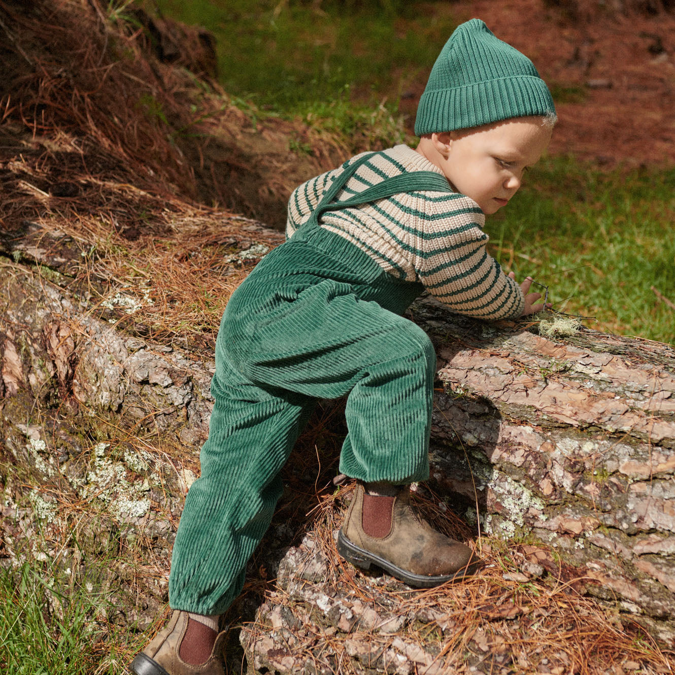 TIPPER OVERALLS | Pine-Web-hover